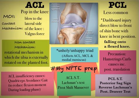 For Daily use: PCL vs BCL 